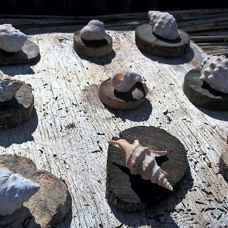 アルゲーロ Arcamyrtusゲストハウス エクステリア 写真